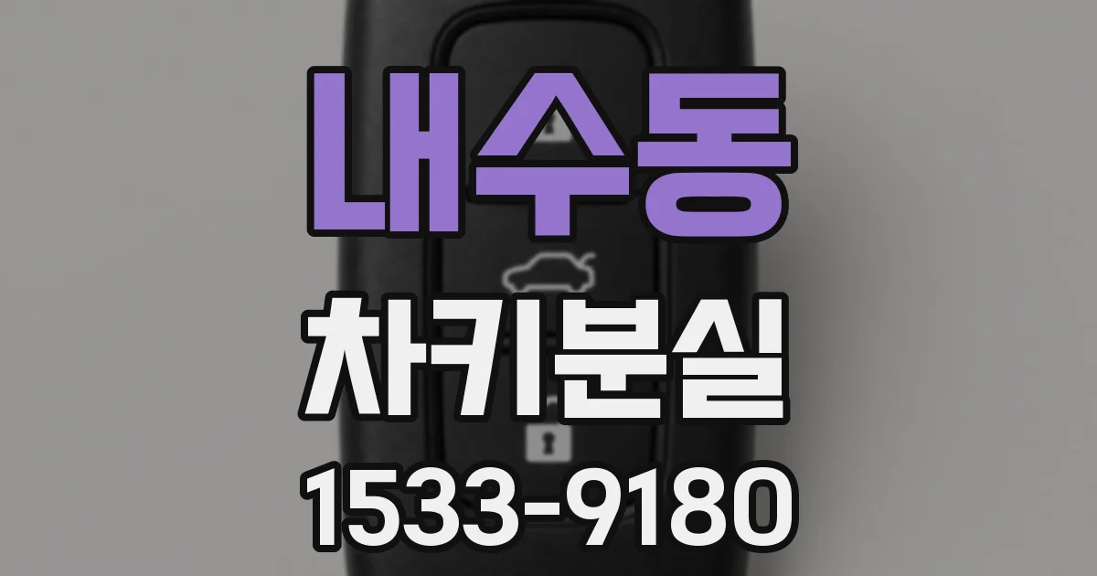 내수동 차키분실