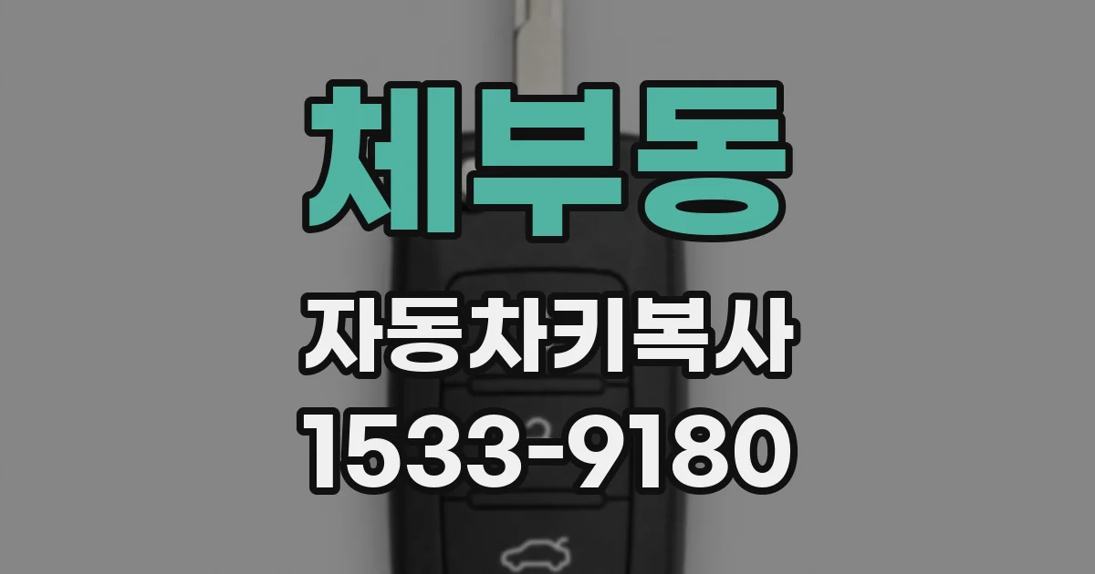 체부동 자동차키복사