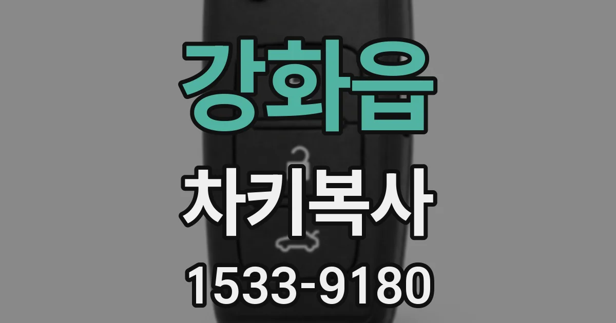 강화읍 차키복사