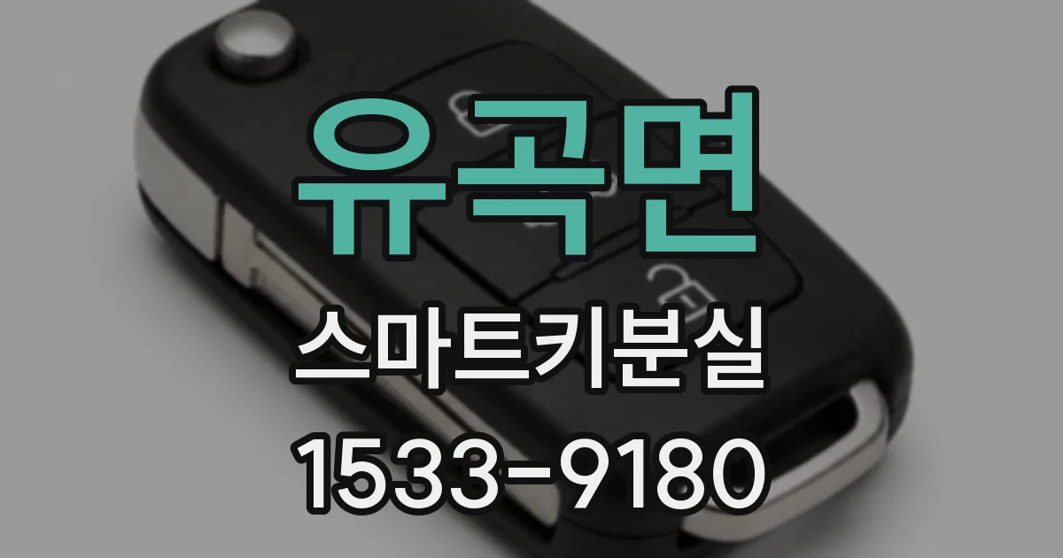 유곡면 스마트키분실
