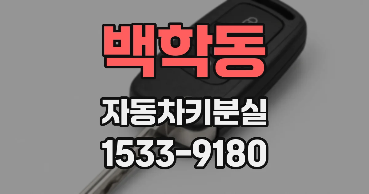 백학동 자동차키분실
