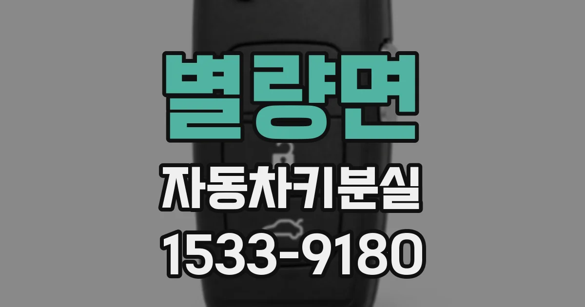별량면 자동차키분실