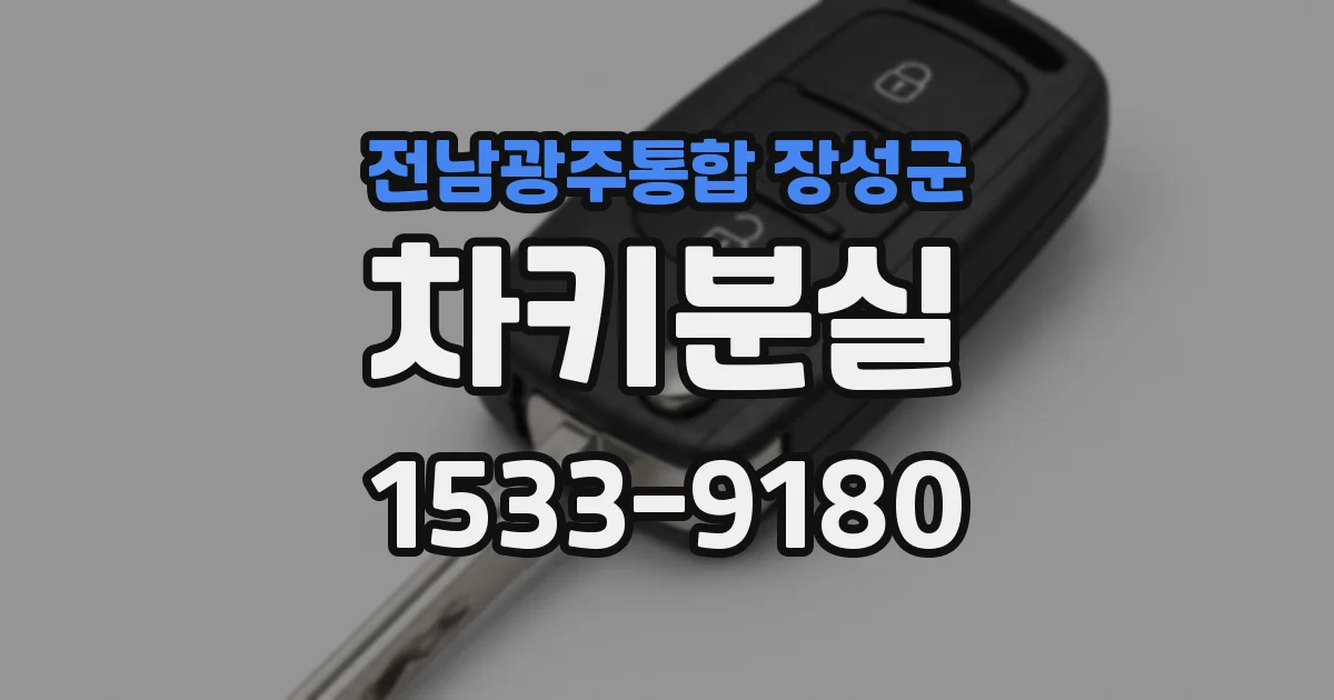 전남광주통합 장성군 차키분실