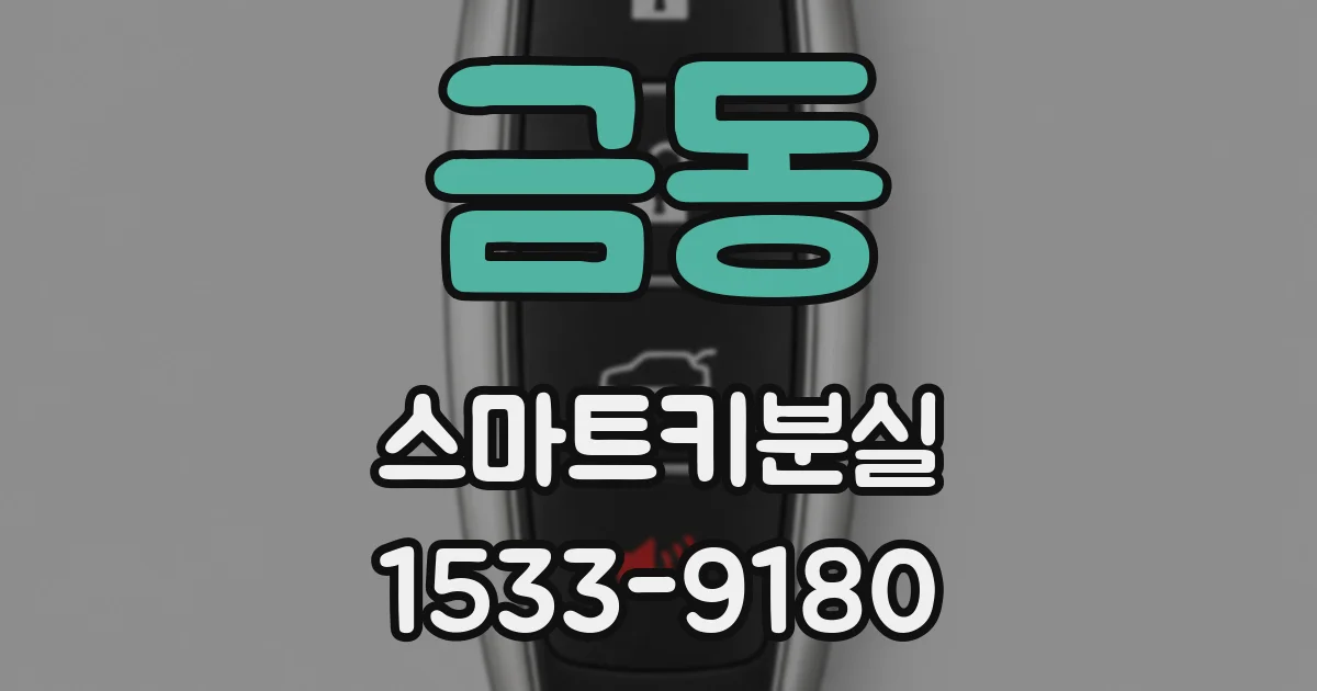 금동 스마트키분실