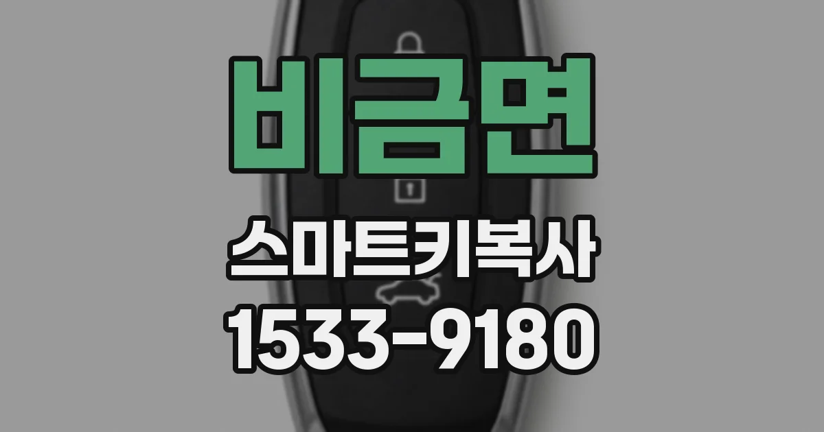 비금면 스마트키복사