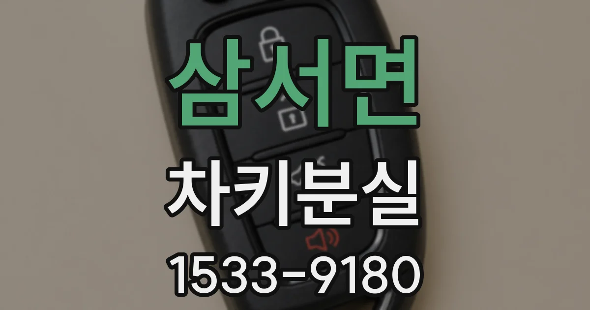 삼서면 차키분실