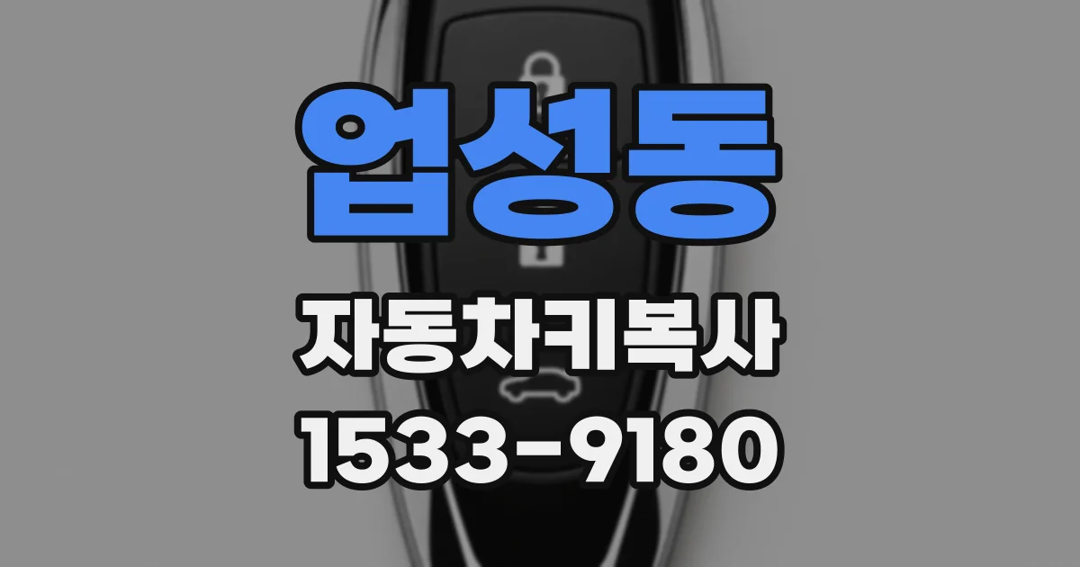 업성동 자동차키복사