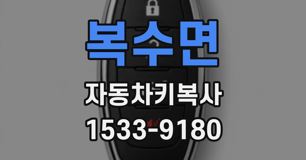 복수면 자동차키복사