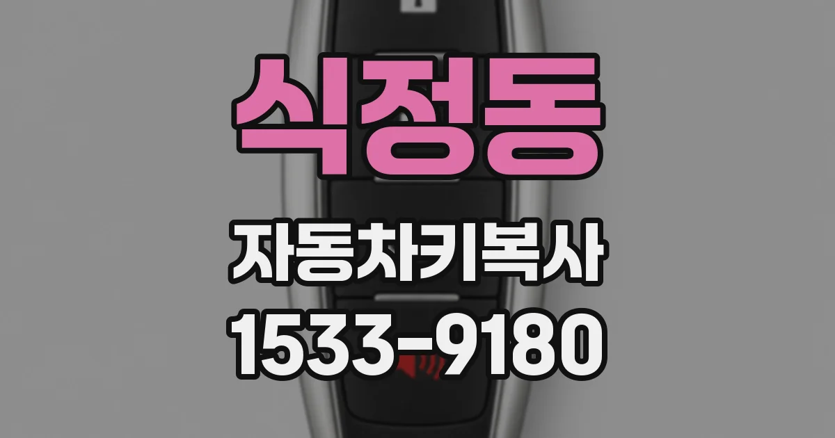 식정동 자동차키복사