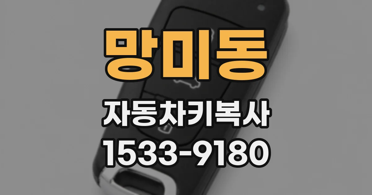 망미동 자동차키복사