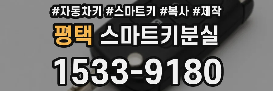 평택 스마트키분실