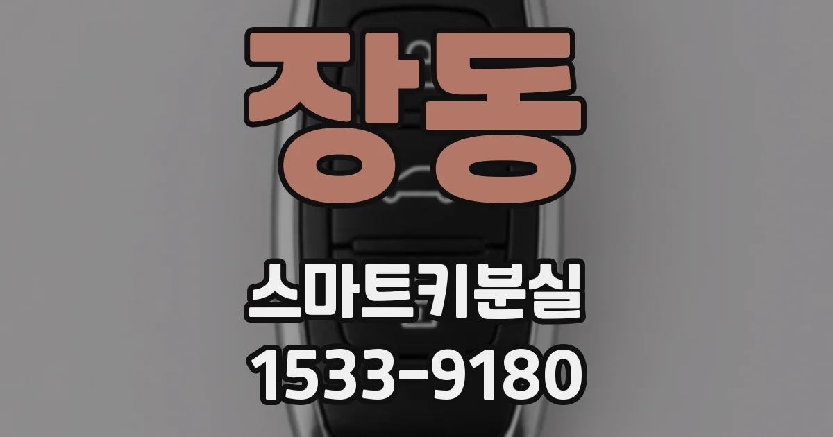 장동 스마트키분실