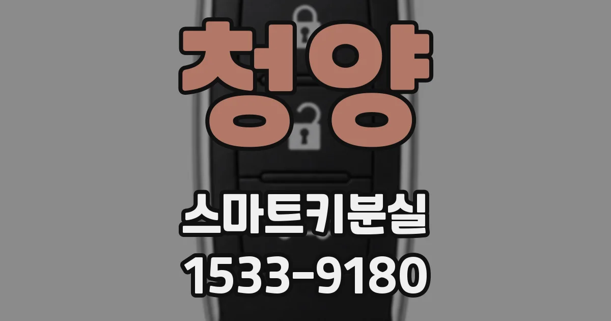 청양 스마트키분실