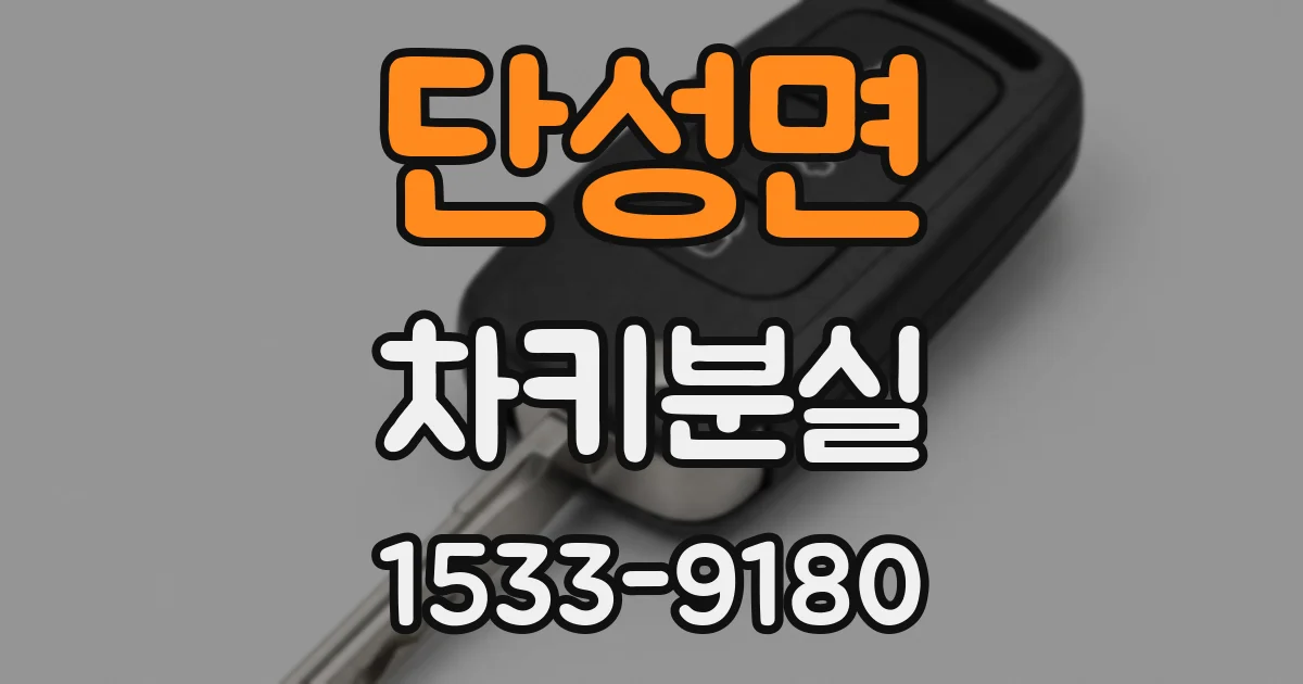 단성면 차키분실