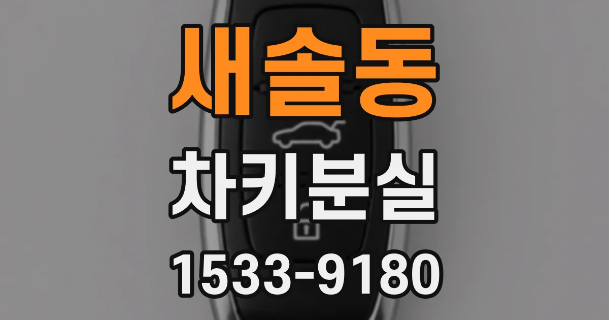 새솔동 차키분실
