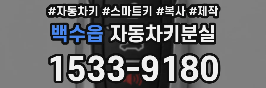 백수읍 자동차키분실