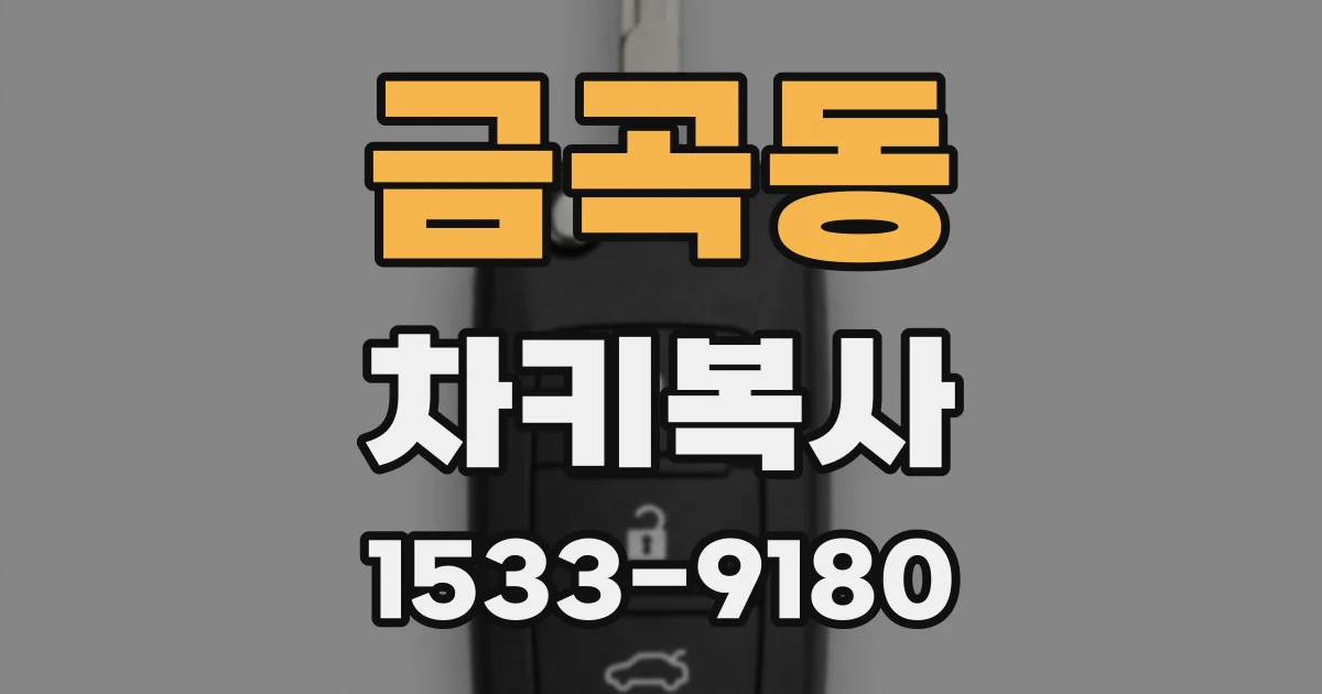 금곡동 차키복사
