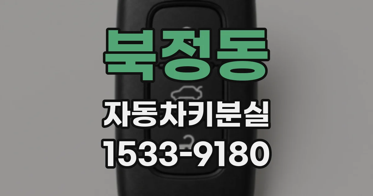 북정동 자동차키분실