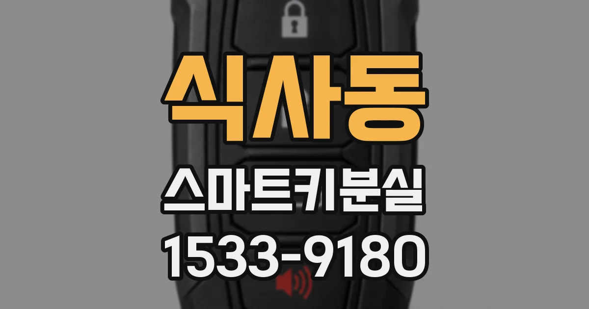 식사동 스마트키분실