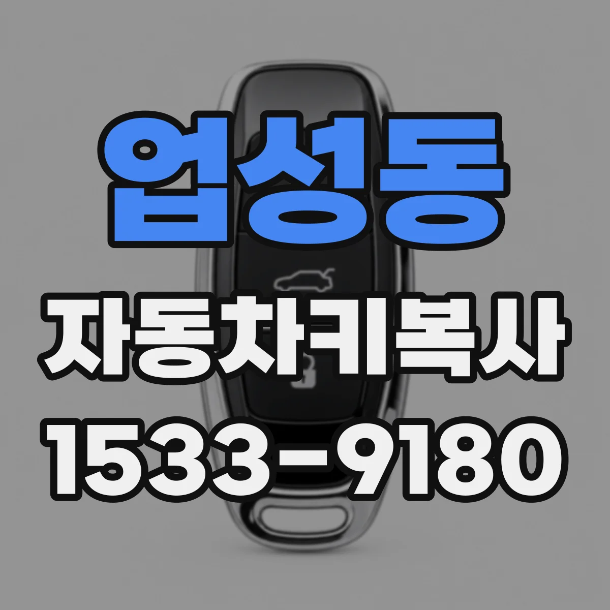 업성동 자동차키복사