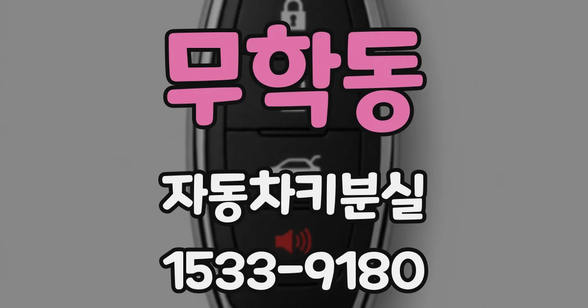 무학동 자동차키분실
