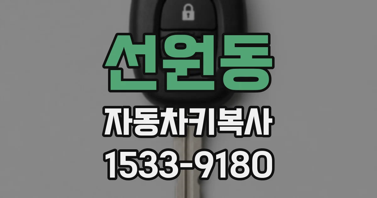 선원동 자동차키복사