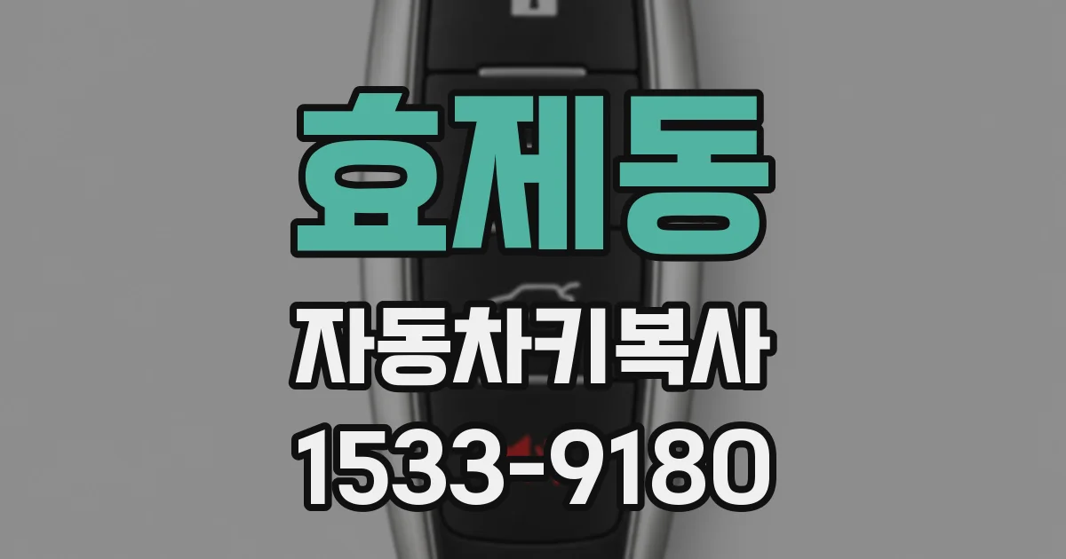 효제동 자동차키복사