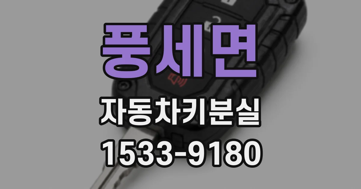 풍세면 자동차키분실
