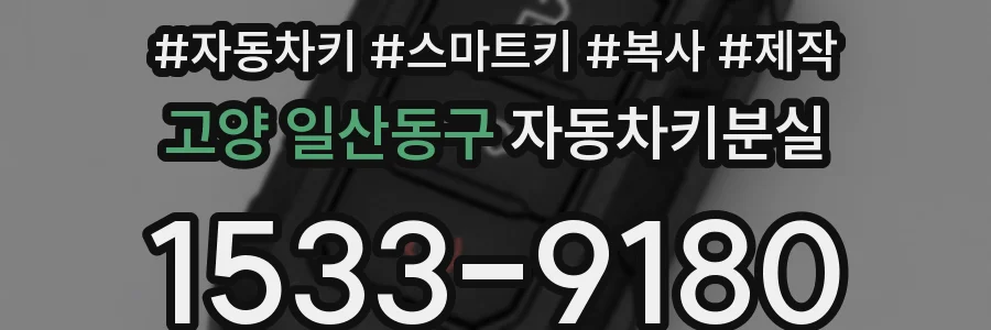 고양 일산동구 자동차키분실
