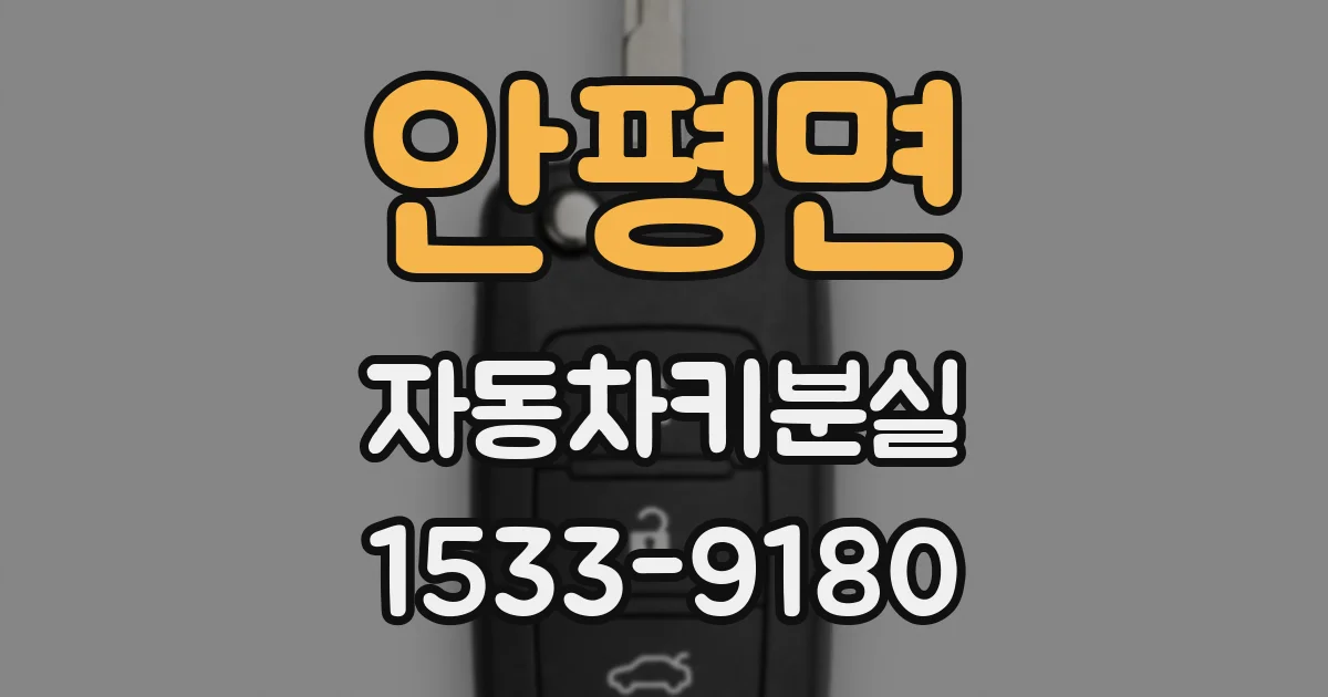 안평면 자동차키분실