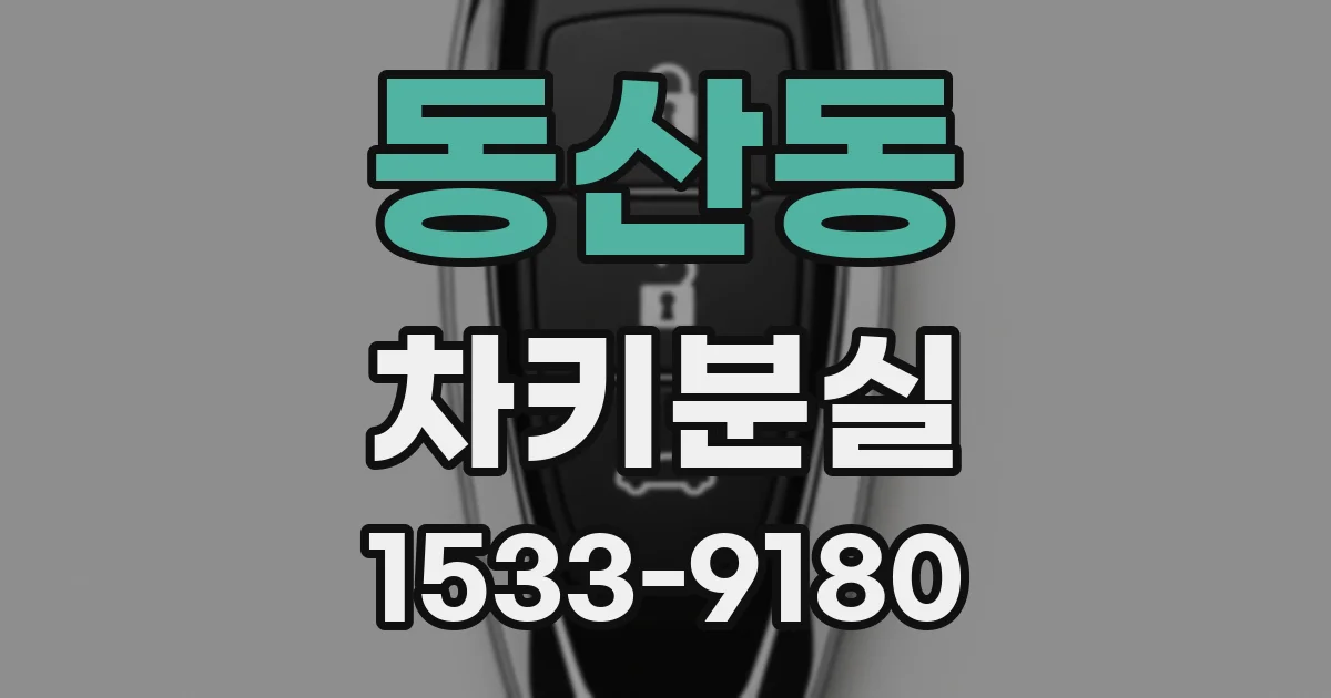 동산동 차키분실