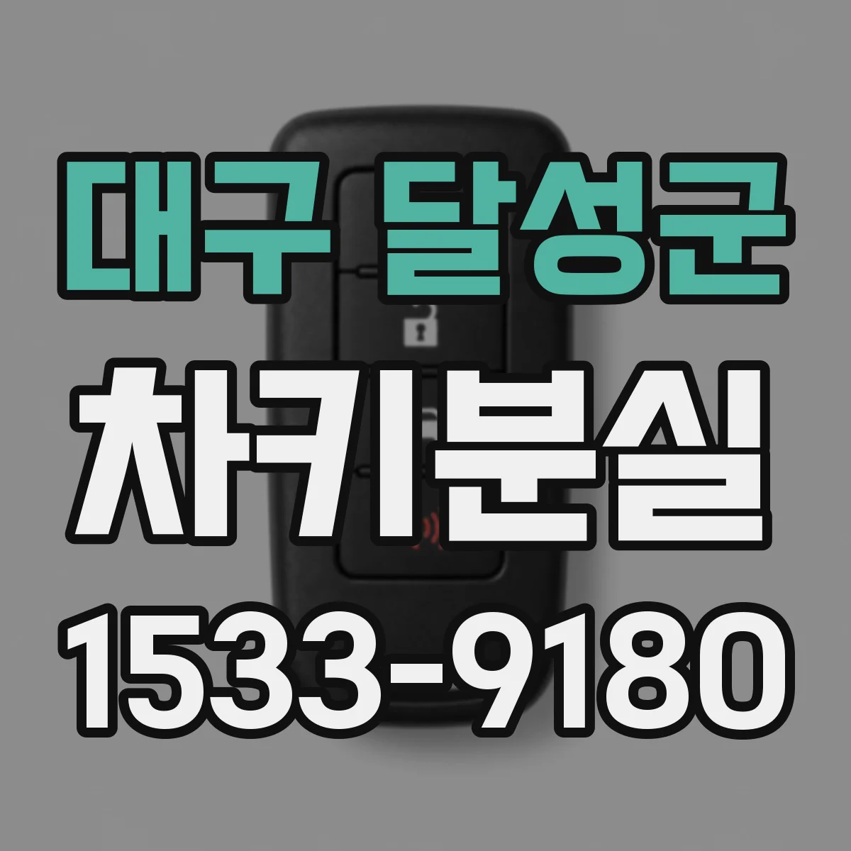 대구 달성군 차키분실