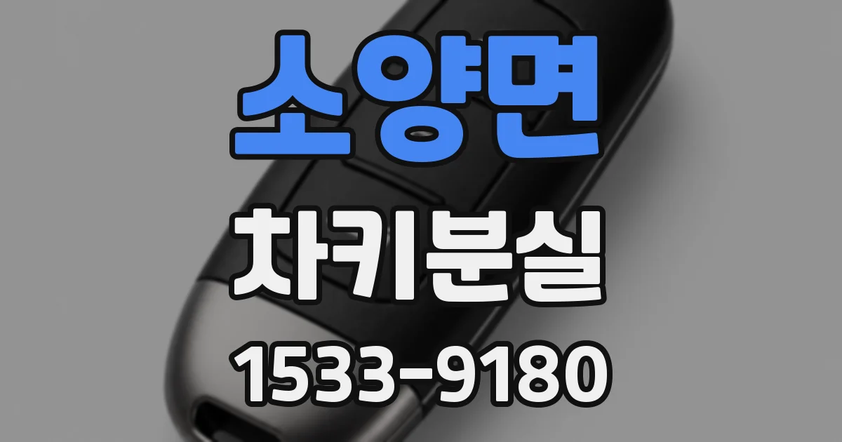 소양면 차키분실
