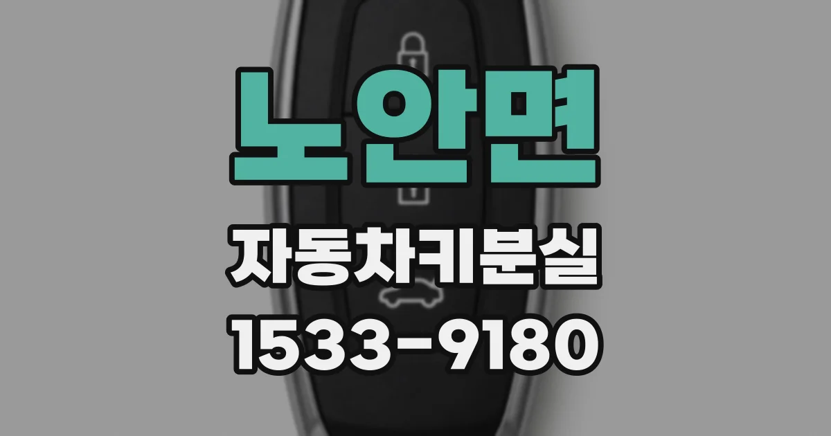 노안면 자동차키분실