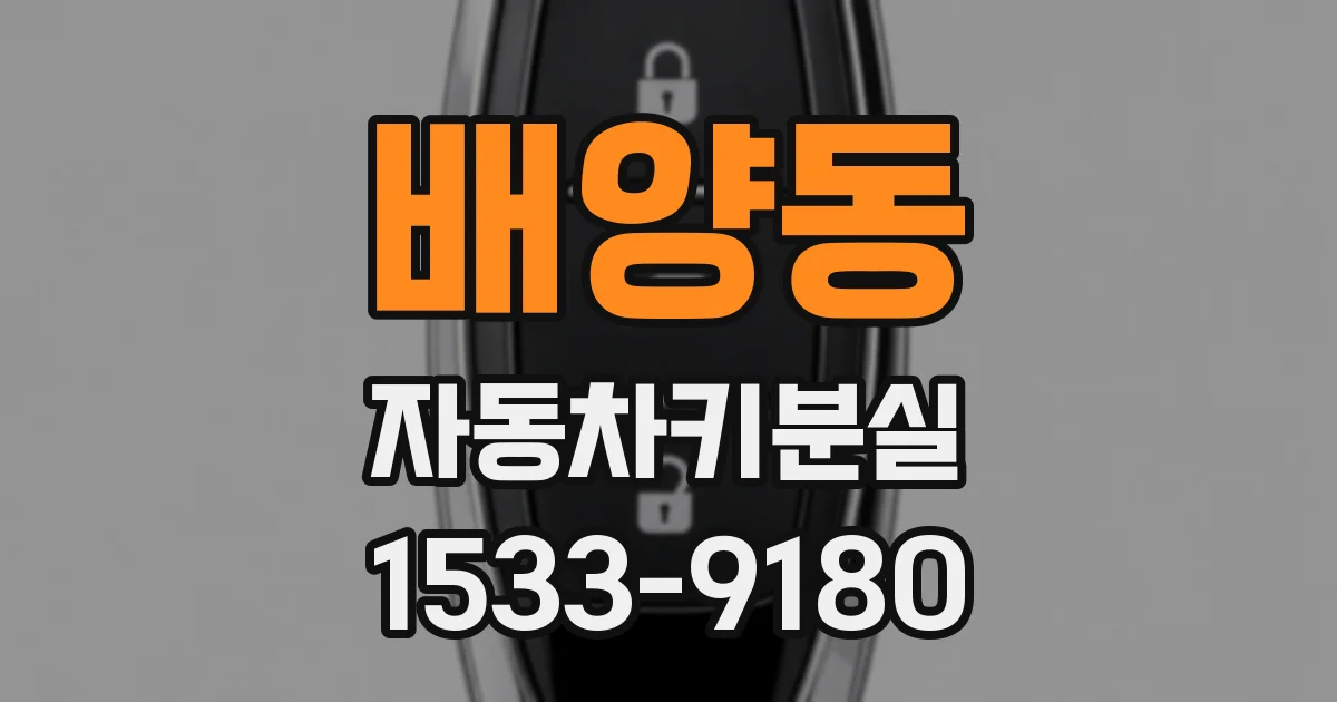배양동 자동차키분실