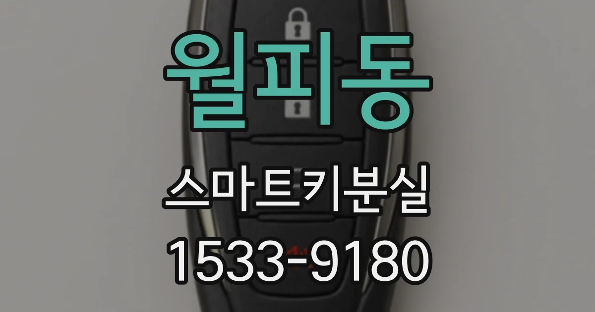 월피동 스마트키분실