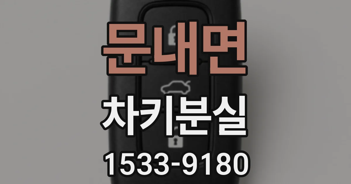 문내면 차키분실