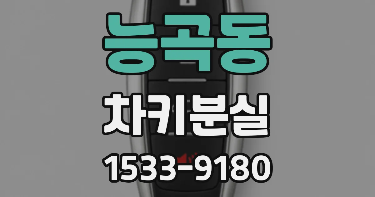 능곡동 차키분실
