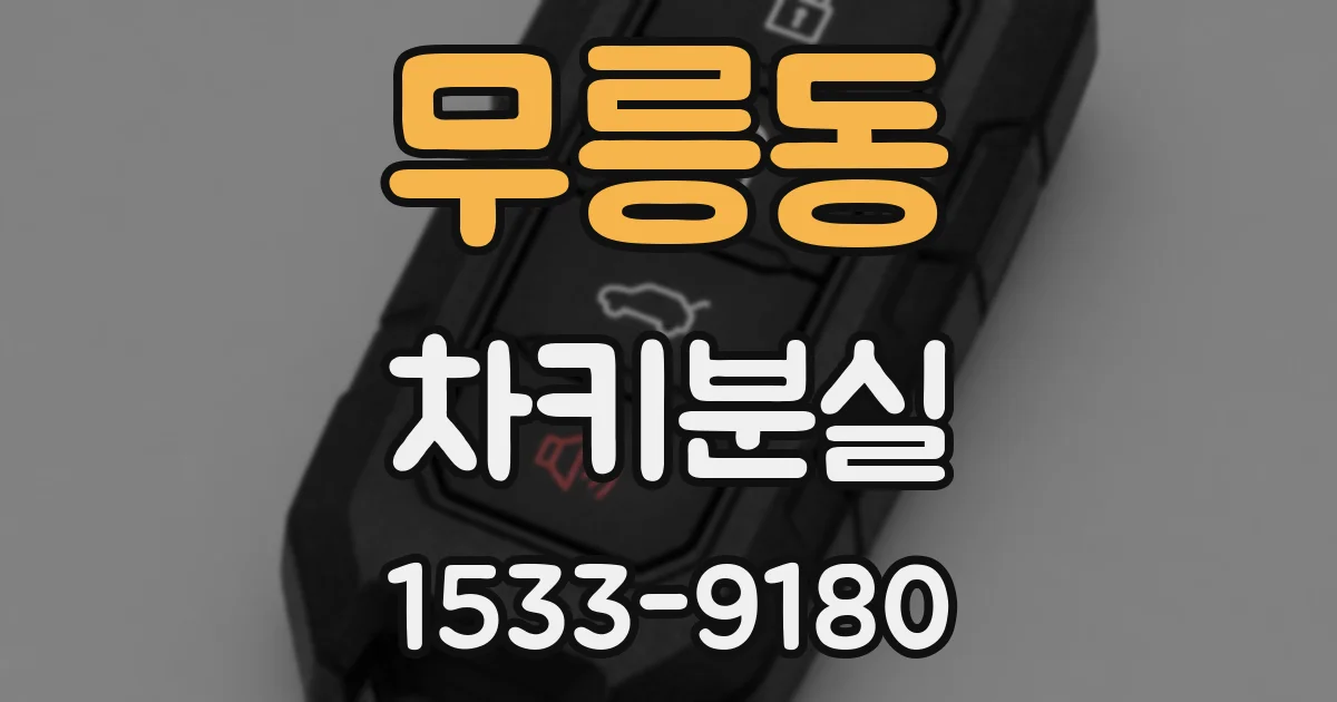 무릉동 차키분실