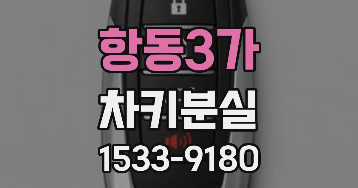 항동3가 차키분실