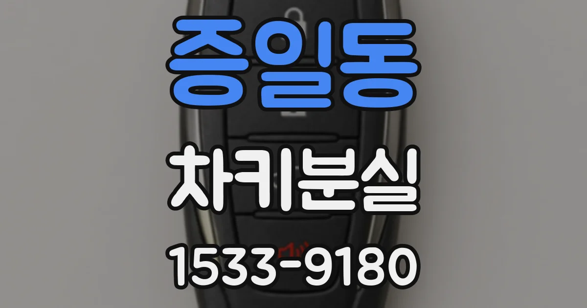 증일동 차키분실