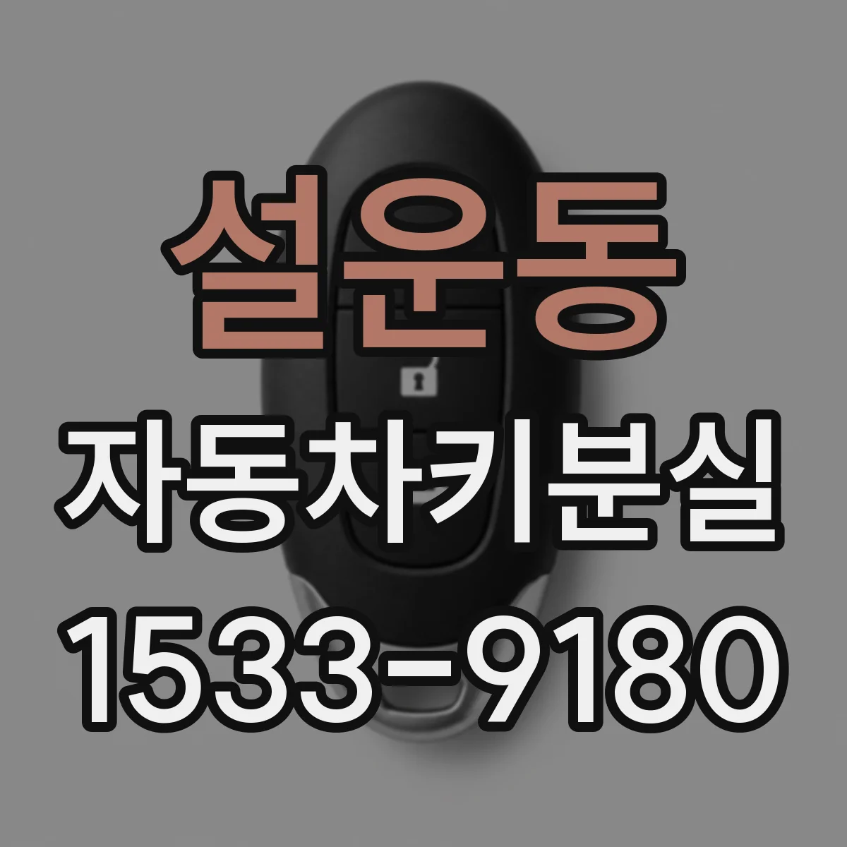 설운동 자동차키분실