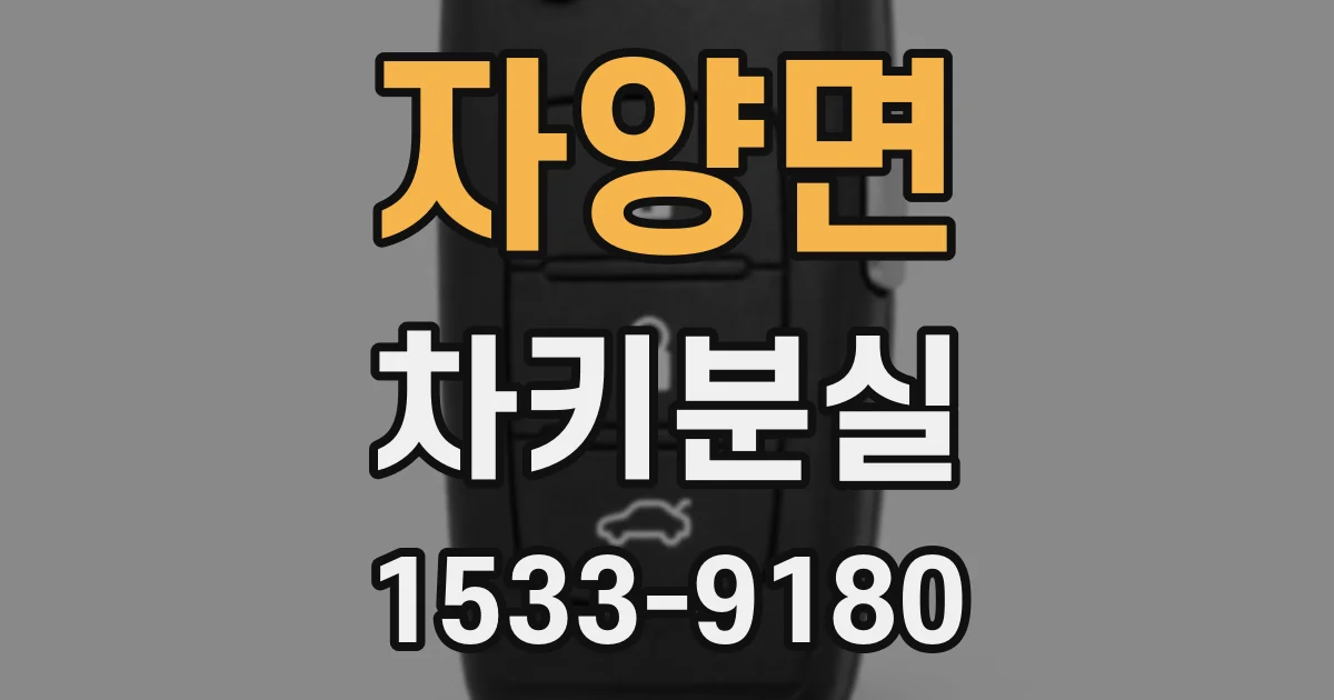 자양면 차키분실