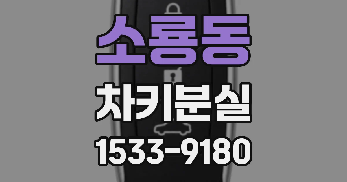 소룡동 차키분실
