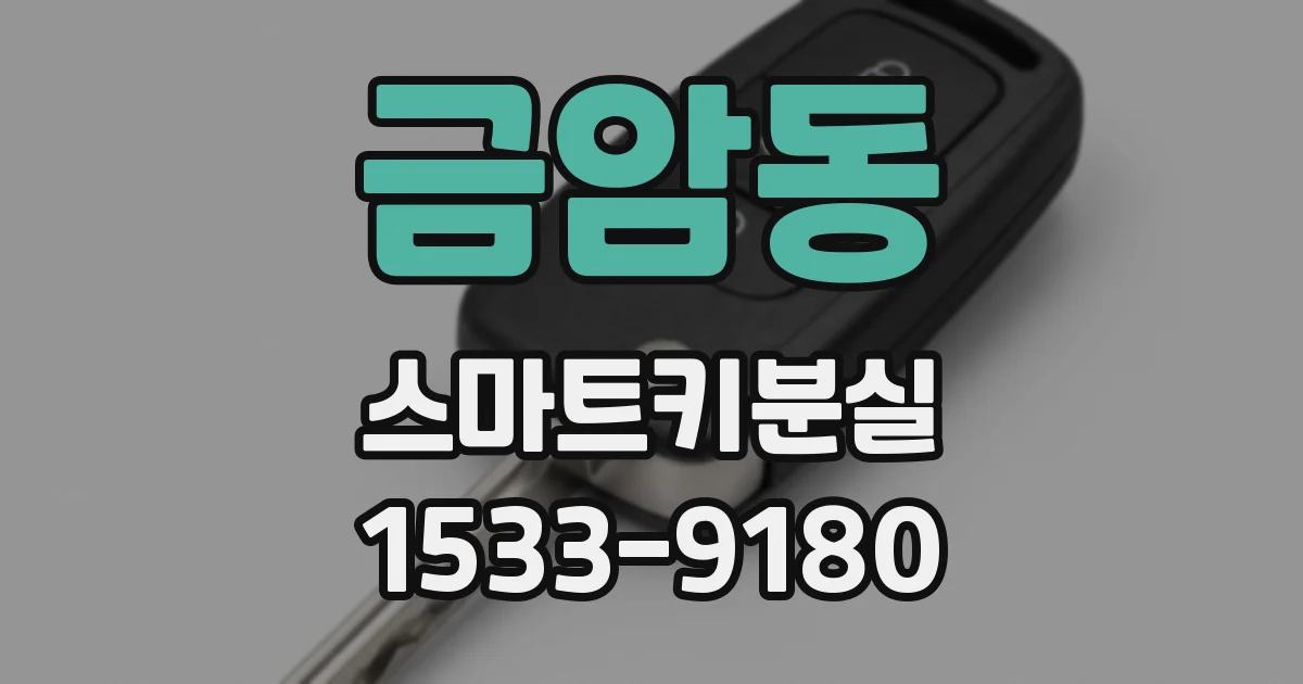금암동 스마트키분실