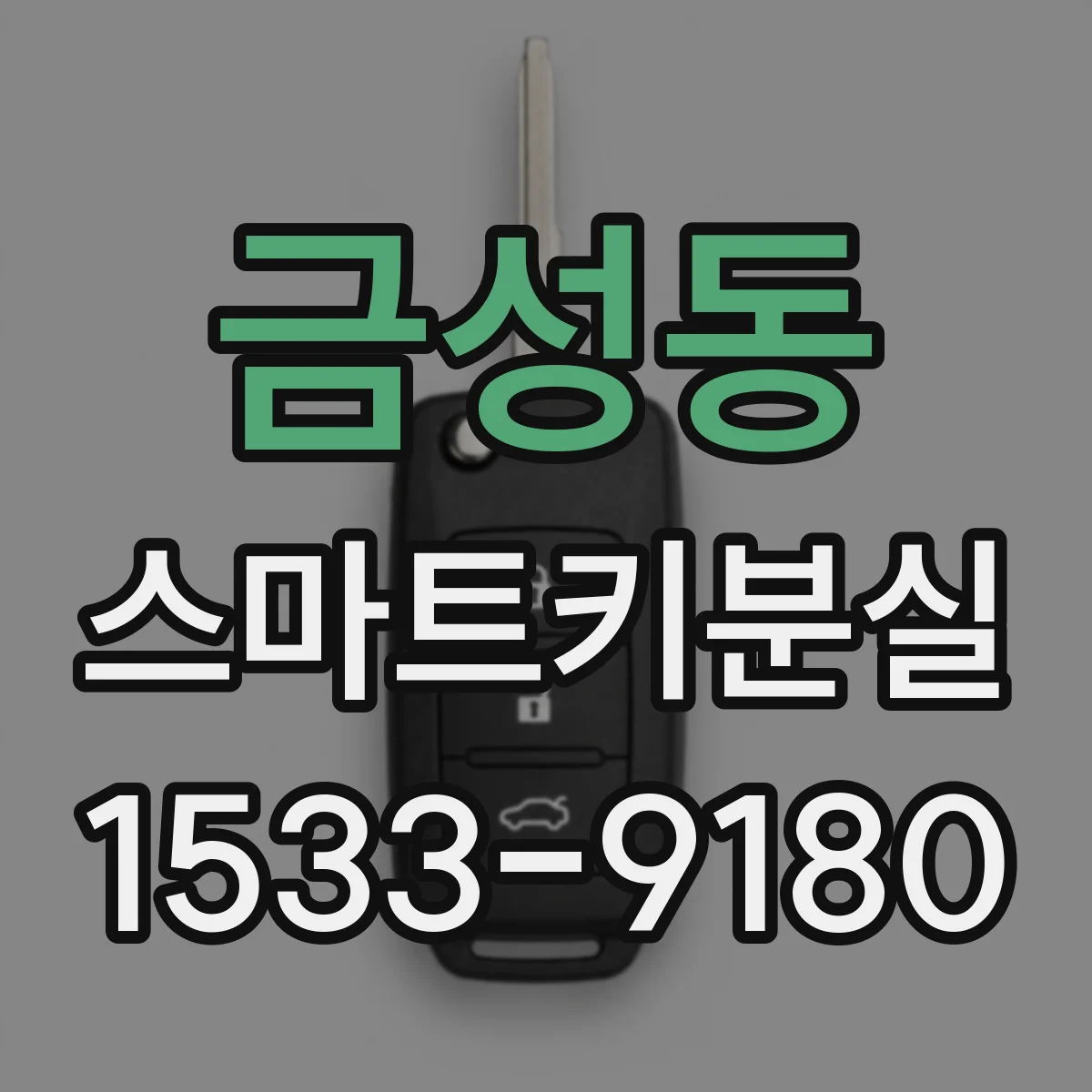 금성동 스마트키분실