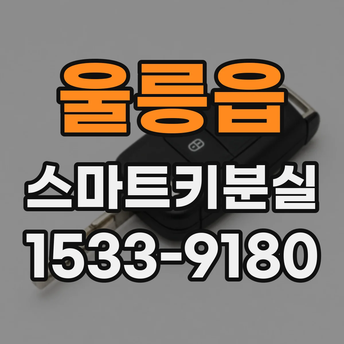 울릉읍 스마트키분실