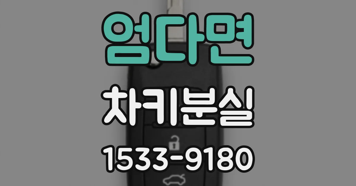 엄다면 차키분실