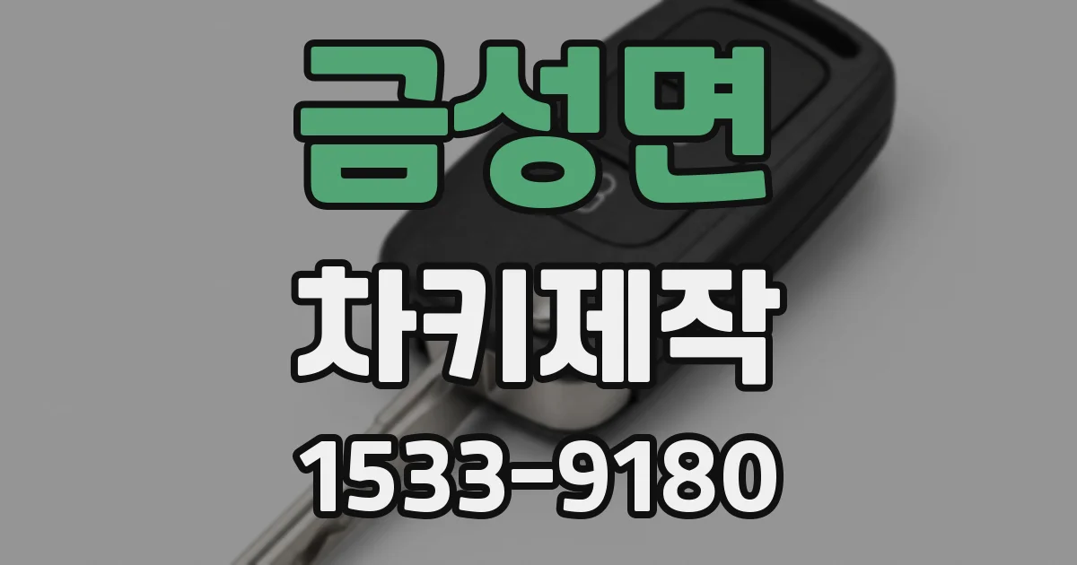 금성면 차키제작