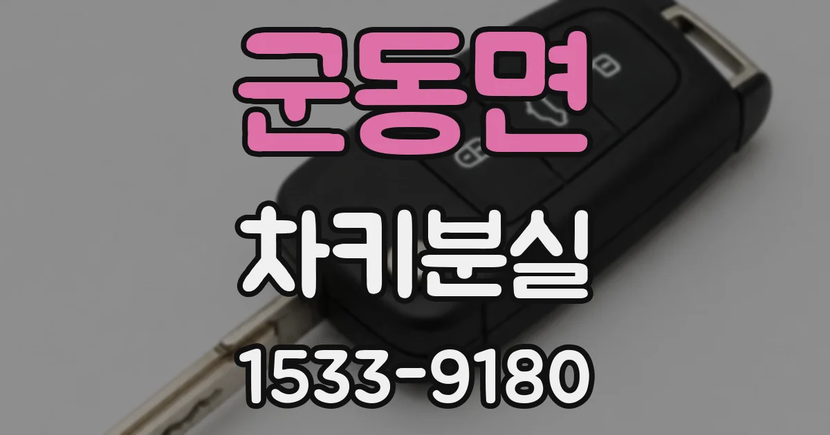 군동면 차키분실
